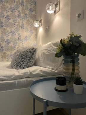 Downtown Mini Apartment